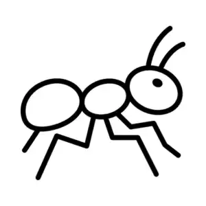 Ant pest control treatment by Bug Off Exterminating Services