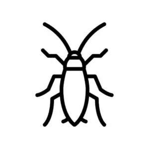 Cockroach pest control and extermination by Bug Off Exterminating Services