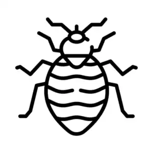 Bed bug extermination and treatment by Bug Off Exterminating Services