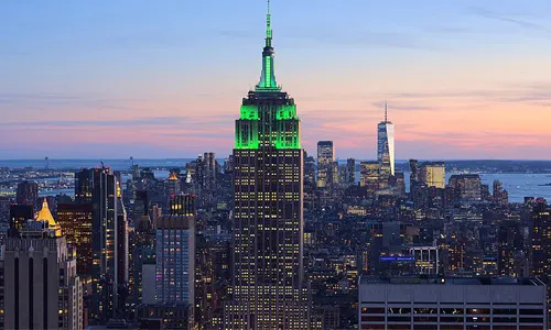 New York  Local / Pest Control Exterminator Near Me