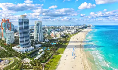 Florida Local / Pest Control Exterminator Near Me