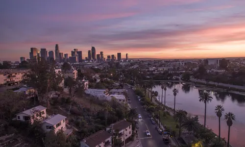 Los Angeles Local / Pest Control Exterminator Near Me