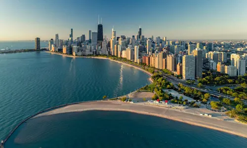 Chicago Local / Pest Control Exterminator Near Me