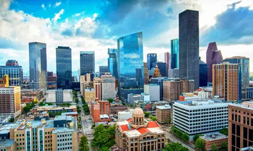 Houston Local / Pest Control Exterminator Near Me