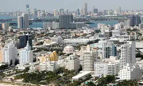 Miami Local / Pest Control Exterminator Near Me